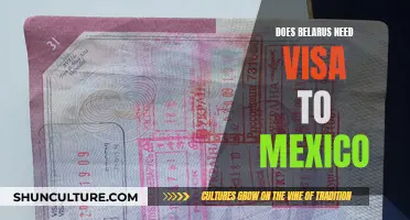 Visa Requirements for Belarusians Traveling to Mexico