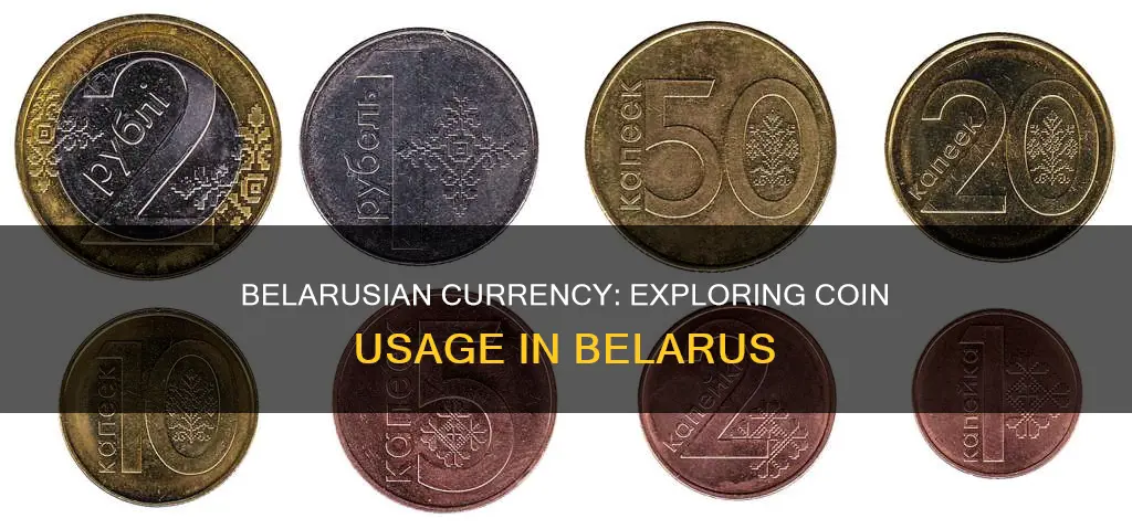 does belarus use coins