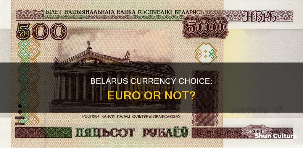 does belarus use the euro