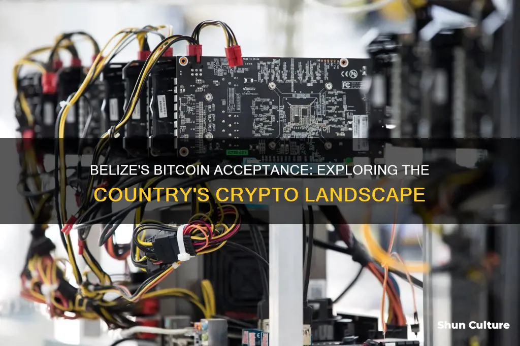 does belize accept bitcoin