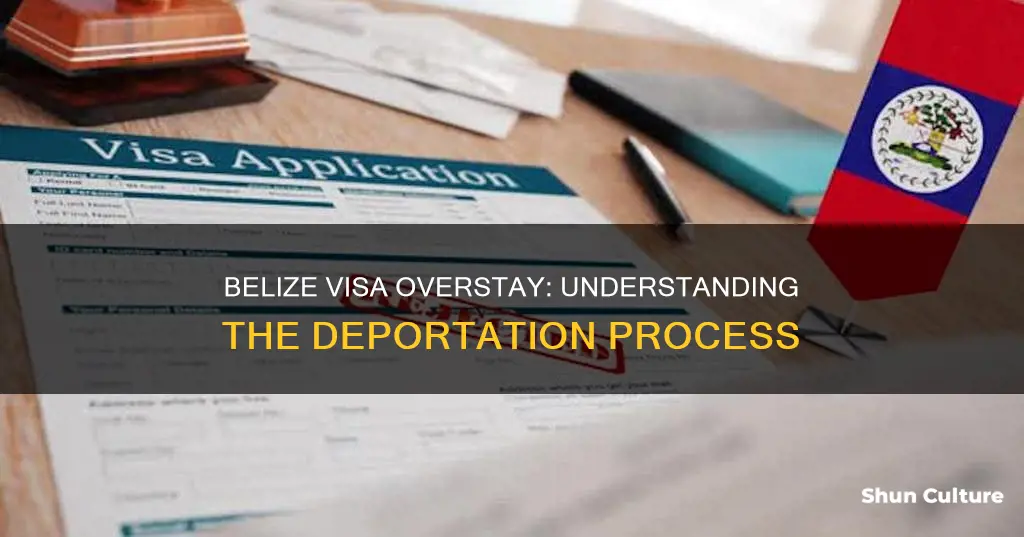 does belize deport people on expired visas