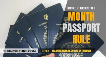 Belize's Strict Passport Rule: Enforced or Not?