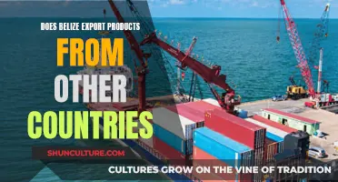 Belize's Export Strategies: Local or Foreign Products?