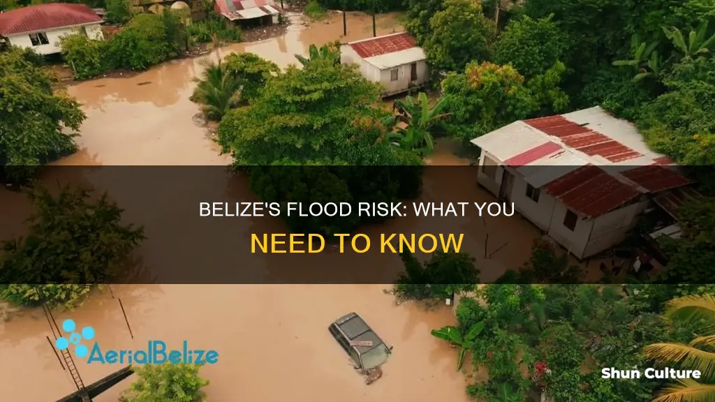 does belize flood