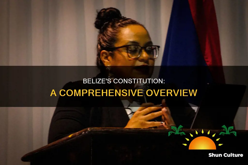 does belize have a constitution