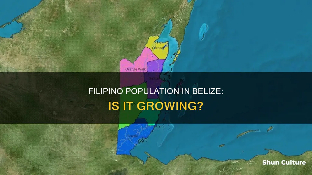 does belize have a filipino population