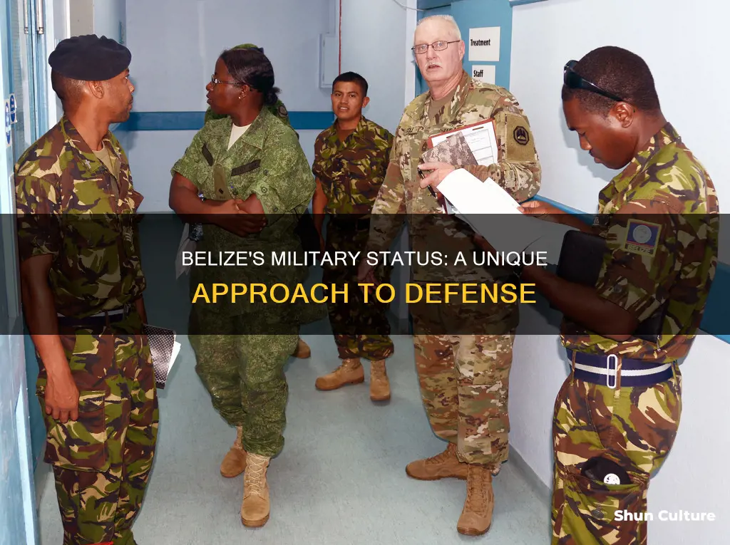 does belize have a military