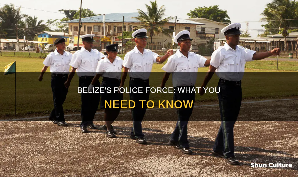 does belize have a police force