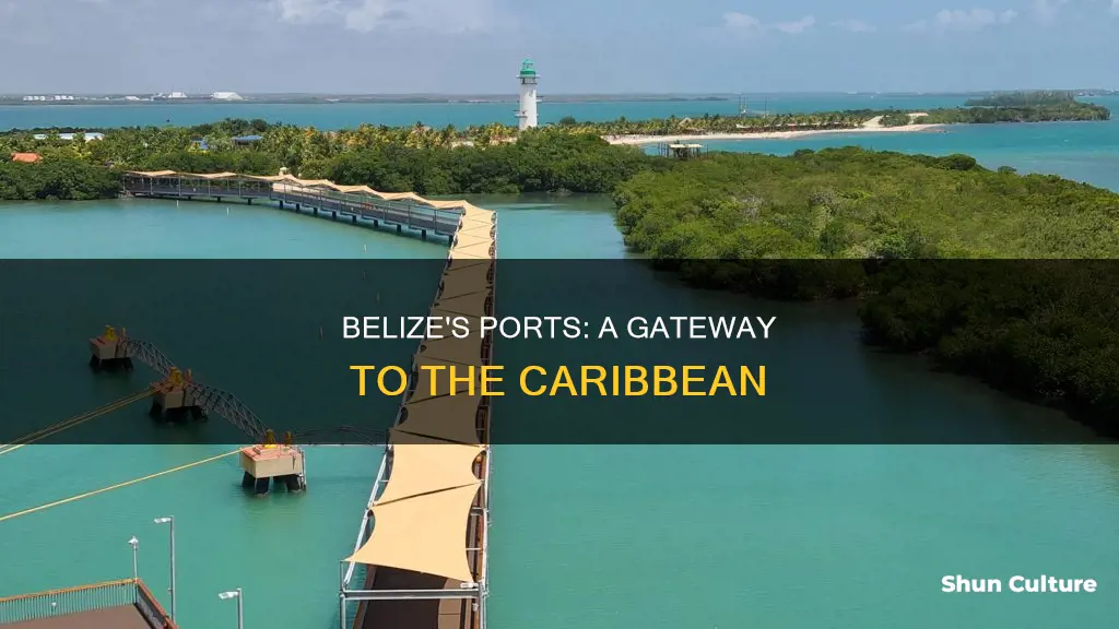 does belize have a port