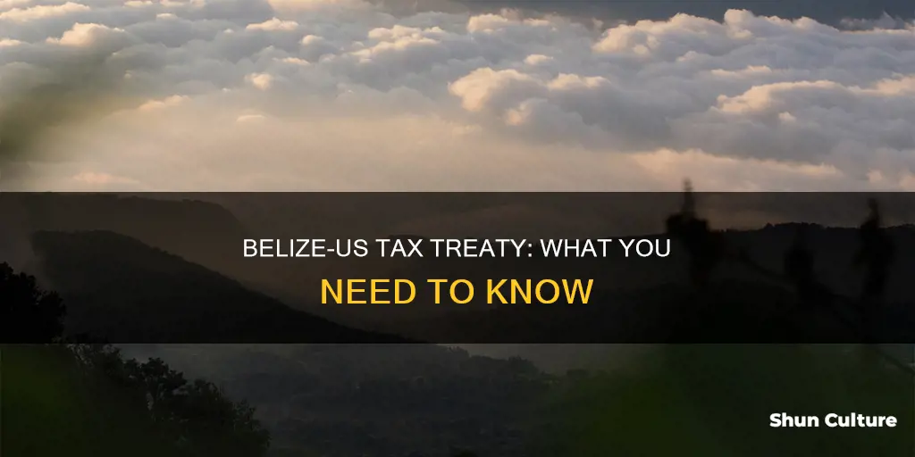 does belize have a tax treaty with the us