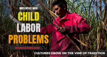 Belize's Child Labor Crisis: Understanding the Problem