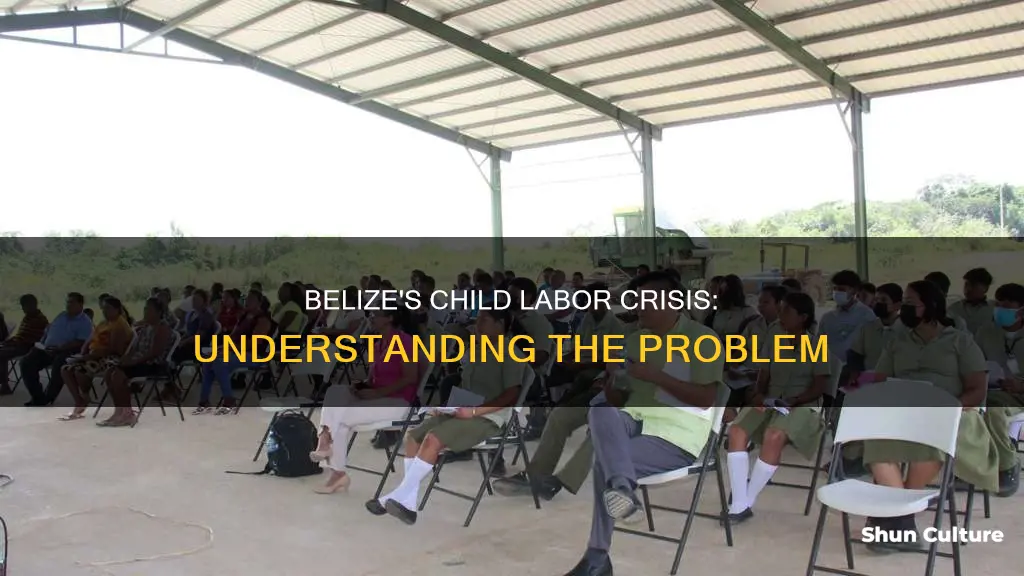 does belize have child labor problems