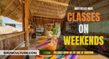 Belize's Weekend Classes: An Educational Advantage