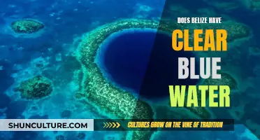 Belize's Water: A Clear Blue Paradise?