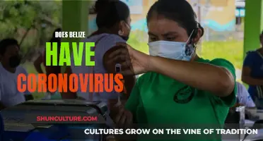 Coronavirus in Belize: What's the Status?