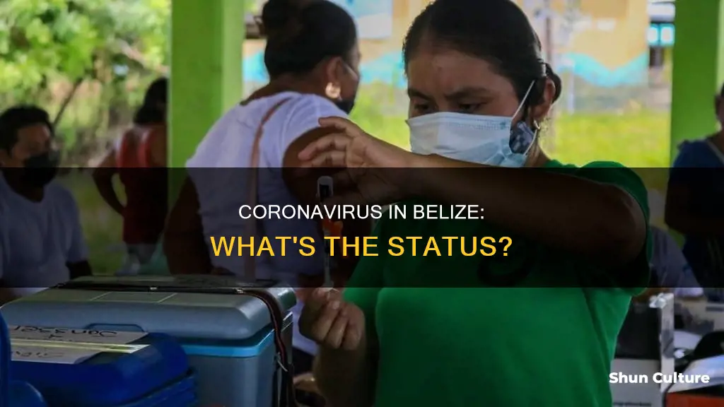 does belize have coronovirus