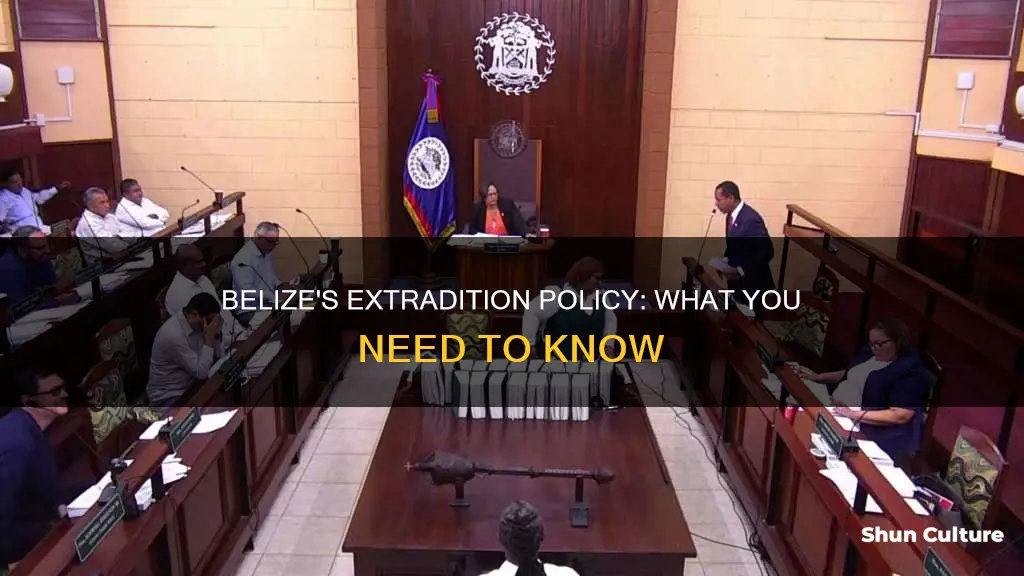 does belize have extradition