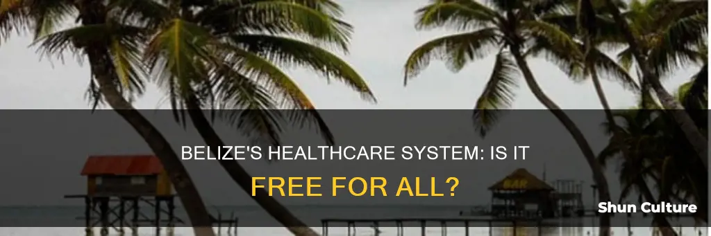 does belize have free health care