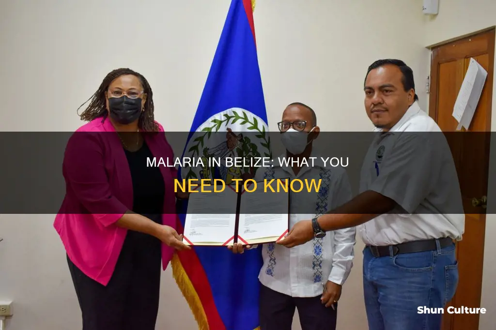 does belize have malaria