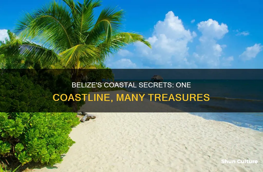 does belize have one coast line