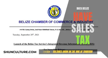 Belize Sales Tax: What You Need to Know