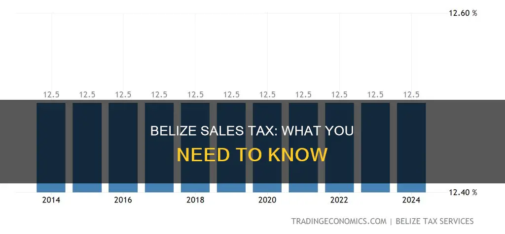 does belize have sales tax