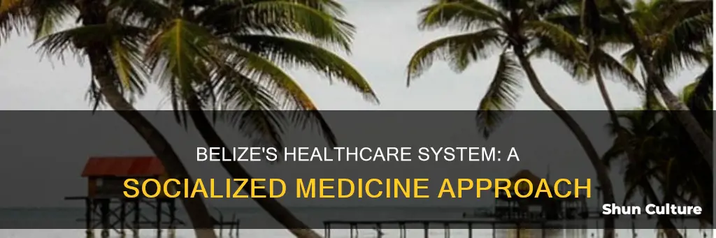 does belize have socialized medicine