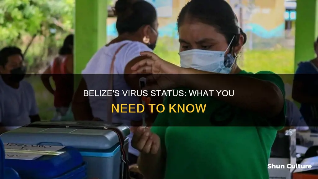 does belize have the virus