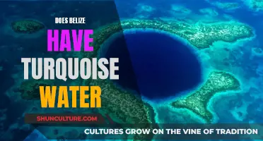 Belize's Turquoise Water: A Natural Wonder