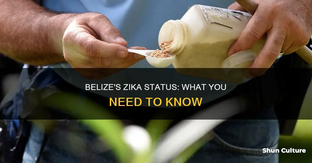 does belize have zika