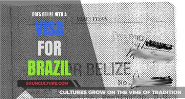 Belize Passport: Visa Requirements for Brazil