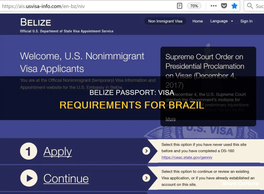 does belize need a visa for brazil