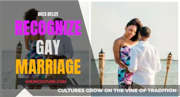 Belize's Stance on Gay Marriage: Recognition and Rights