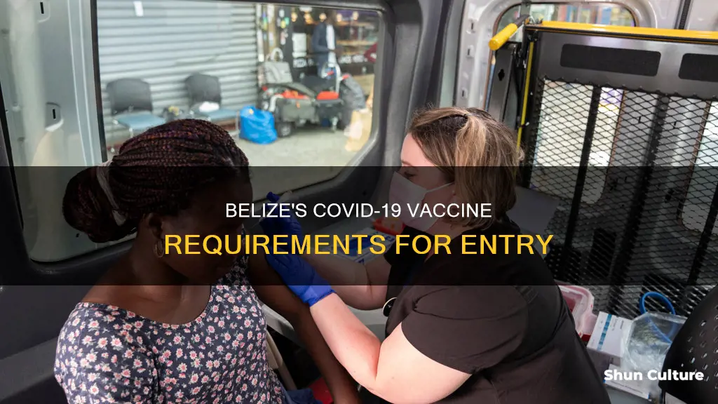 does belize require covid vaccine