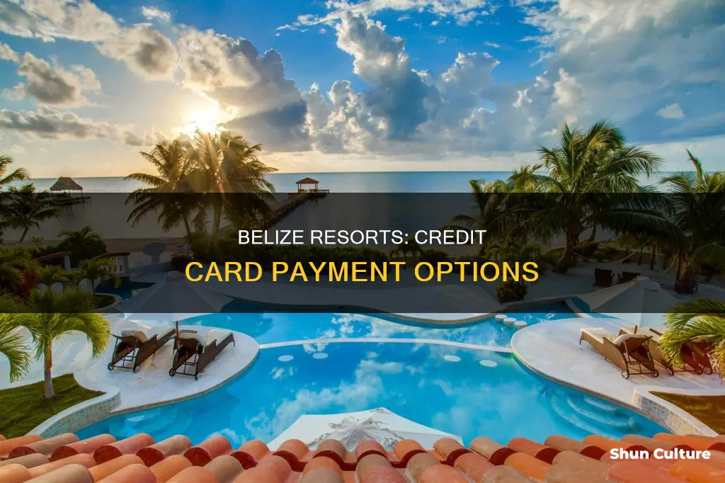 does belize resorts take credit cards