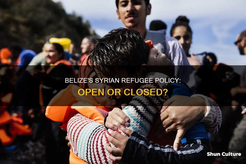 does belize take syrain refugees