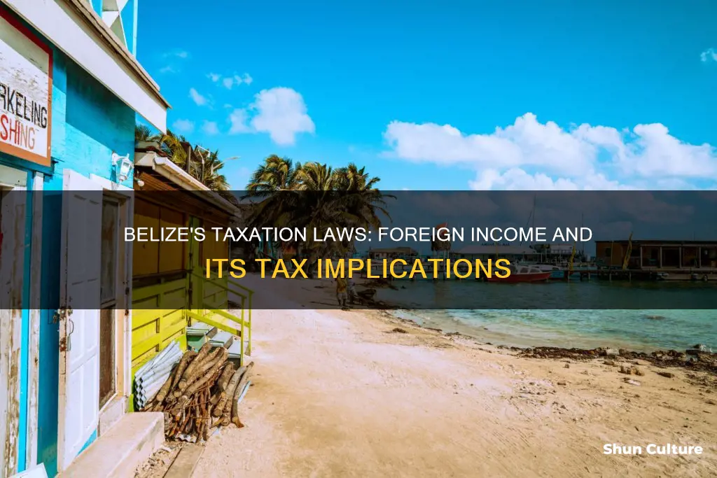 does belize tax foreign income