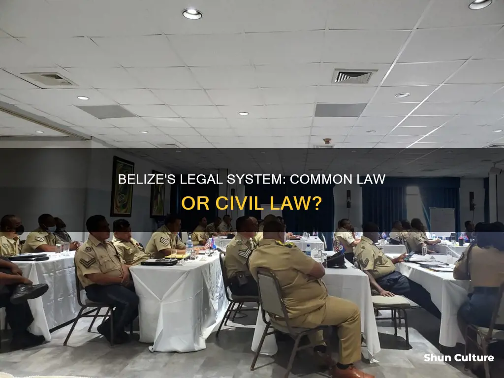 does belize use common law