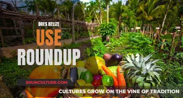 Belize's Roundup Usage: What's the Deal?