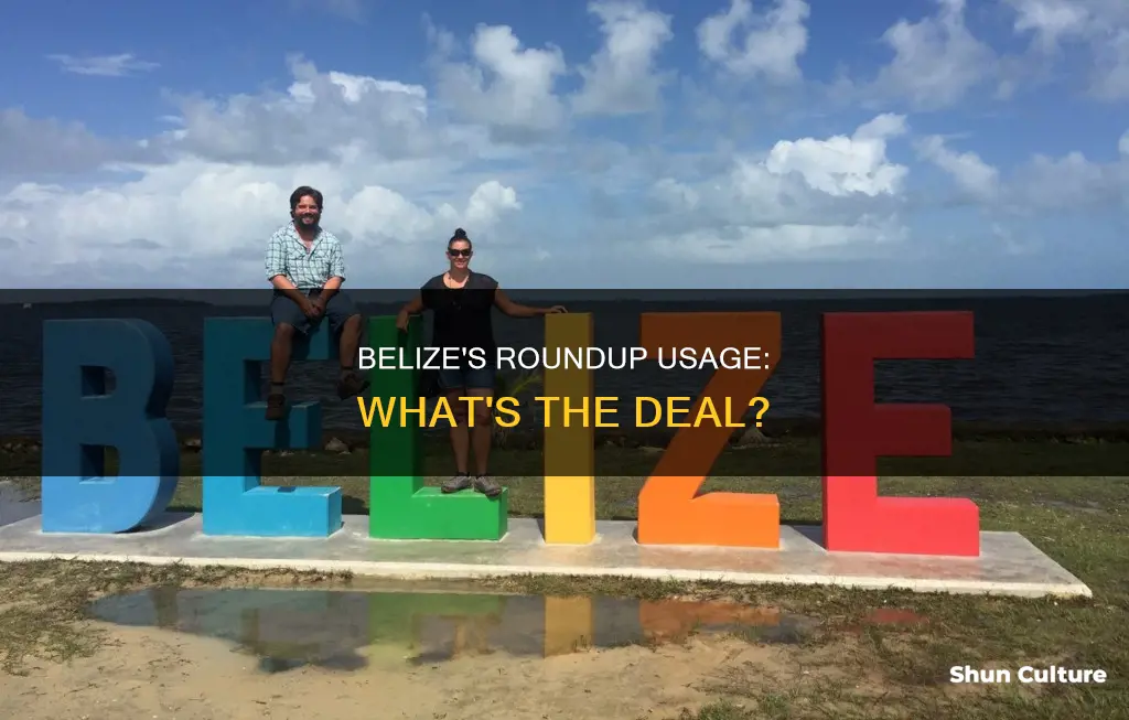 does belize use roundup