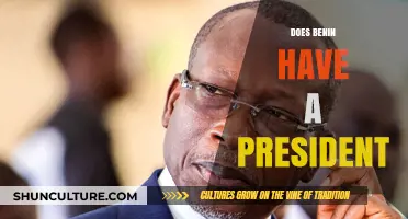 Leadership in Benin: Exploring the Role of the President