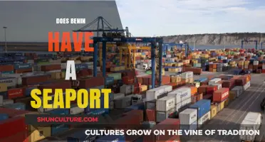 Exploring Benin's Coastal Infrastructure: The Presence of Seaports