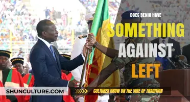 Exploring Benin's Political Landscape: A Stance on the Left?