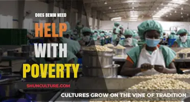 Addressing Poverty in Benin: A Call for Support and Solutions