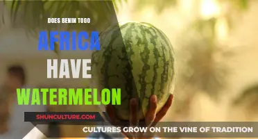 Exploring Benin and Togo: A Journey Through West Africa's Watermelon Wonderland