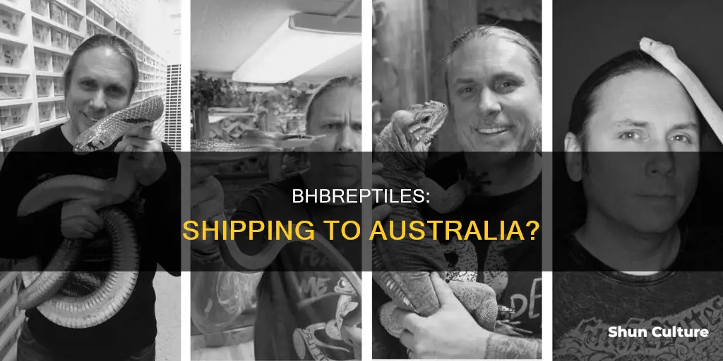 does bhb reptiles ship to australia
