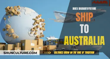 BigBadToyStore Shipping: Does It Reach Australia?