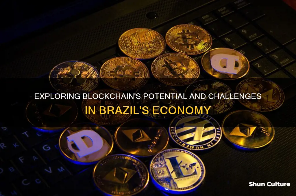 does blockchain work in brazil