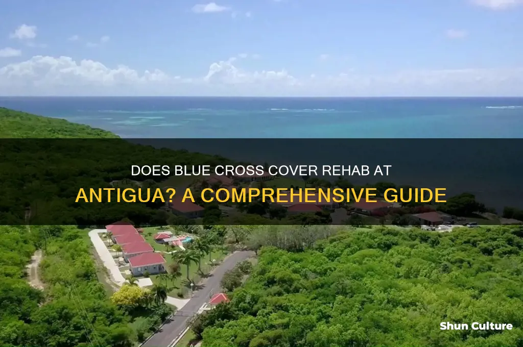 does blue cross cover rehab at antigua