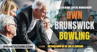 BlueArc Capital Management: Brunswick Bowling Owners?